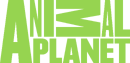 Animal Planet (2008-2011).png (66 KB) Fourth logo (2010 to 2011)