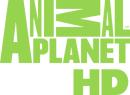 Animal Planet HD (2008-2011).png (94 KB) HD logo (2010 to 2011)