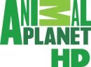 Animal Planet HD (2011-2014).png (86 KB) HD logo (2011 to 2015)