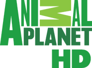 First HD logo (October 1, 2011 - September 15, 2014)