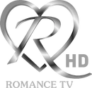 HD logo (2011 to 2016)