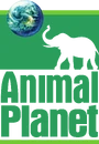 Animal Planet (1996-2006).png (849 KB) First logo (1998 to 2000)