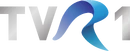 Fifteenth logo (2010 to 2022)