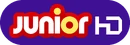HD logo (2016 to 2019)