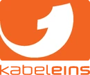 Second logo (2008-2011)