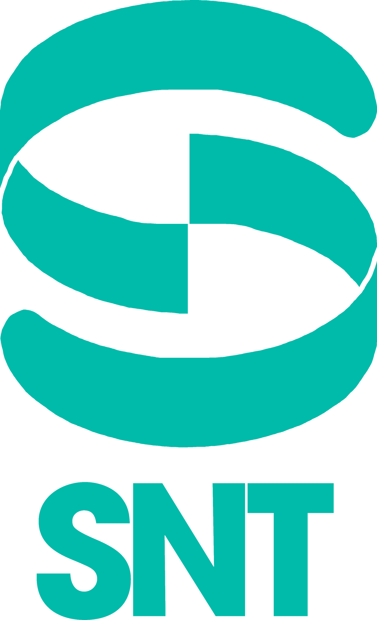 SNT | Mihsign Vision | Fandom