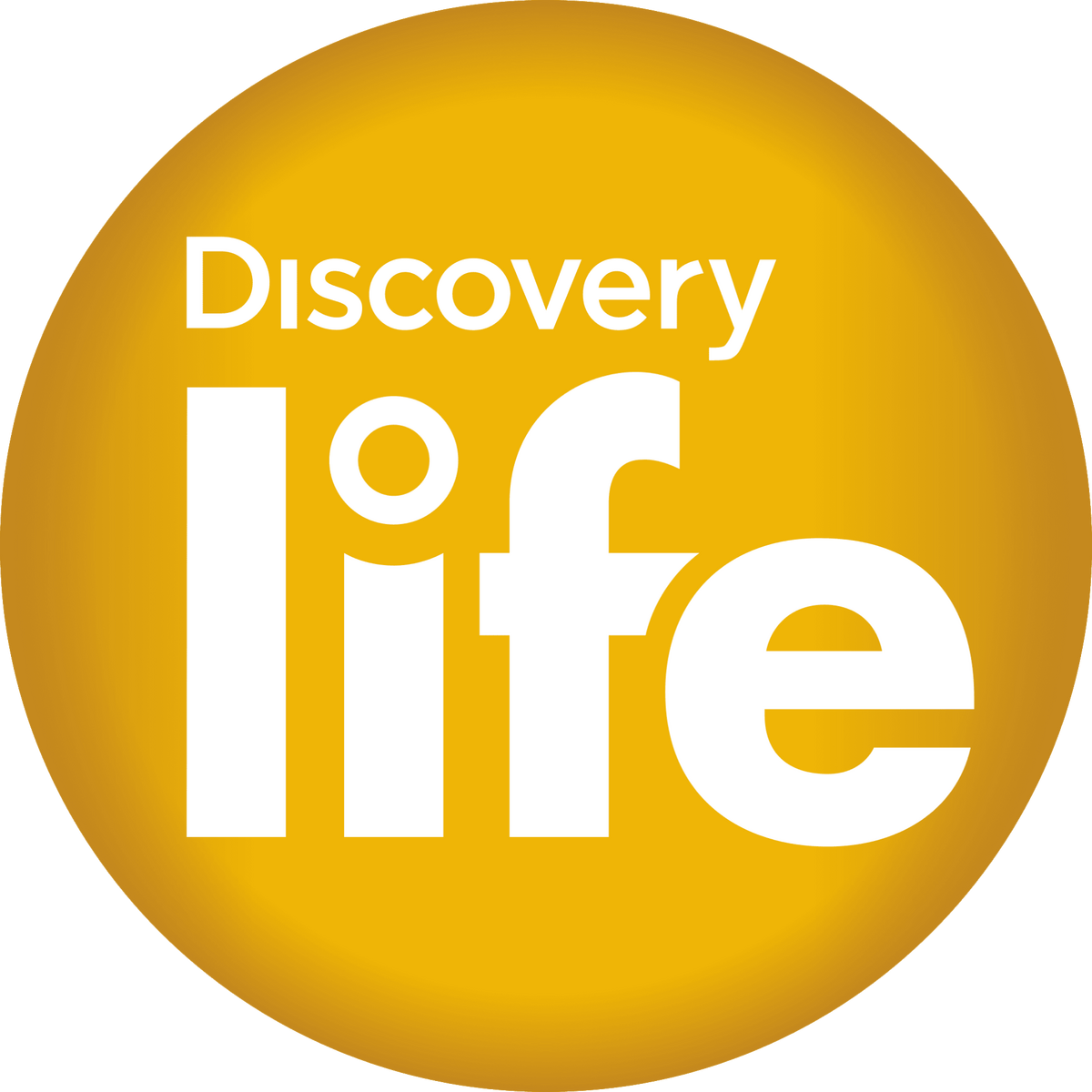 Discovering files. Discovery channel. Логотип телеканала Discovery. Discovery Kids Телеканал.