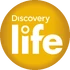 Discovery Life (2015-2019)