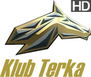 HD logo (2020 to present)