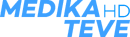 HD logo (2020 to present)