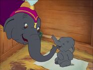 Dumbo 9