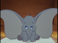 Dumbo 9.1