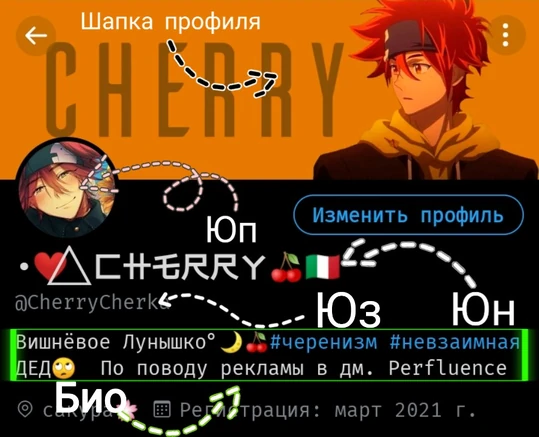 Терминология профиля