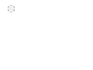 Пропорция новогоднего логотипа Lider TV (2014-2015)