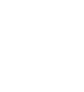 Второй логотип без текста в белом монохроме