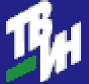 Tvin.png (3 КБ) Второй логотип (2004 — 2007)