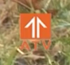 Первый и последний логотип (эфирный)