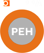 Седьмой логотип (2008-2010)
