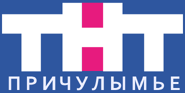 Пятый логотип 2008-24.12.2009 (был в эфире)
