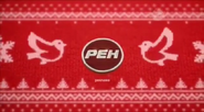 Скриншот новогодней региональной рекламной заставки РЕН ТВ с 15 декабря 2014 по 17 января 2015 года — четвёртый вариант