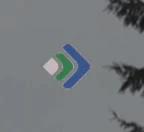 Новогодний логотип (2020 — 2021)