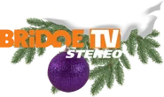 Первый логотип - новогодний (использовался в эфире 19 декабря 2005 года по 13 января 2006 года)