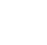 Последний логотип — белый