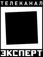 Единственный логотип (2008-2013)