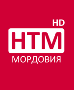 Второй логотип (используется на микрофонах)