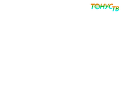 Пропорция первого логотипа канала "Тонус ТВ" с 2008-2012 годах