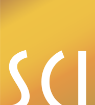 Второй логотип