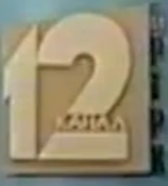 Первый логотип (14 сентября 1998 — 1999)