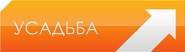 Второй логотип (1 января 2009 — 9 декабря 2018)