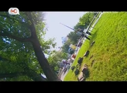 Пропорция новогоднего логотипа Ю (2019-2020) в левом верхнем углу, название программы «Я стесняюсь твоего тела» — в правом верхнем углу во время её трансляции