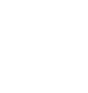 Второй логотип белого цвета в виде буквы Z