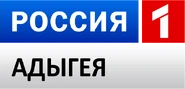 Логотип (2010-2012)