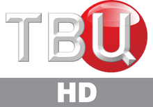 Логотип канала ТВЦ. Телеканал ТВ центр.