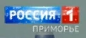 Новогодний логотип (2020-2021)
