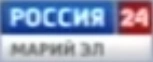 Второй логотип (2010 — настоящее время)
