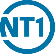 Первый логотип (31 марта 2005 — 22 августа 2008)