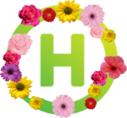 Новий канал (8 березня 2019 року)