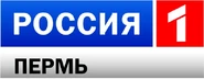 Седьмой логотип (1 января 2010 – 25 ноября 2012)