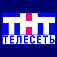 Третий логотип с надписью «Телесеть»