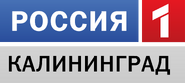Россия-1 Калининград (2010-2015)