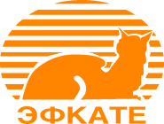 Оранжевый (1994-2020)