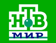 Третий логотип на ярко-зелёном фоне (использовался во время показа часов и программ «Средний класс», «Сегодня» и «Итоговая программа» до 29 августа 2010 года, а также при выходе с рекламы на сериалах и фильмах)