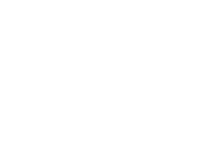 ОНТ (2002-2017, белый).png (13 Кб) ОНТ (2002-2017, белый)