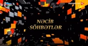 NƏCİB SÖHBƏTLƏR