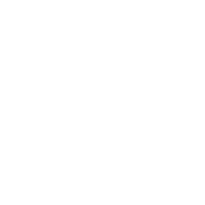 Четвёртый логотип — белый