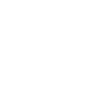 Первый логотип в белом монохроме